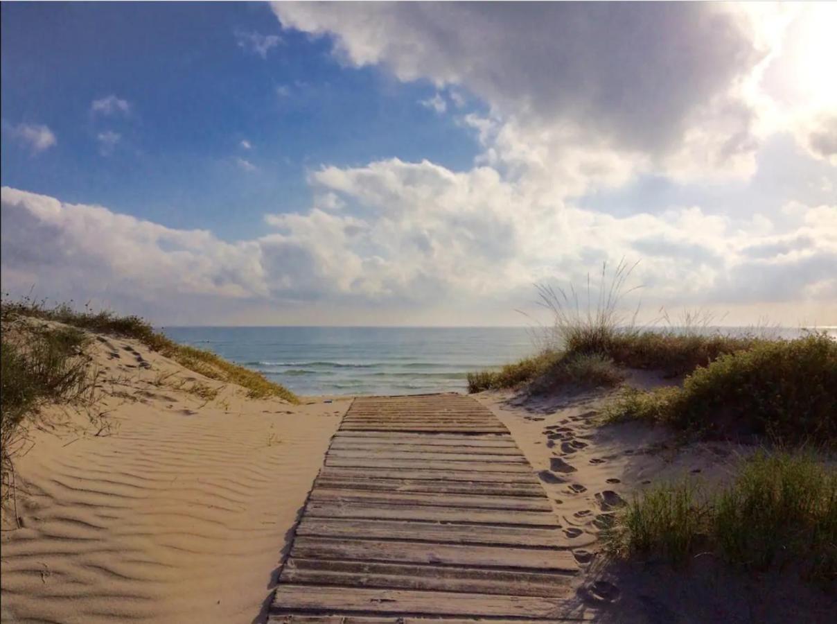 Apartamento Nuevo En La Playa- Met- Oliva Nova Golf エクステリア 写真